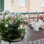 La Casa Rosa *